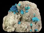 Vibrant Blue Cavansite Clusters on Stilbite - India #64815-2